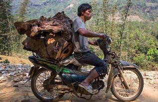 国产奇葩摩托车图片视频,创意无限，笑点连连