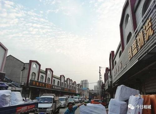 国产非法建筑视频大全集,视频大全集深度解析