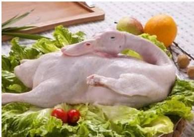 国产鸭肉梨测评视频大全,美味佳肴大盘点