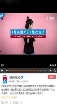 国产罐头视频大全集下载,一罐一世界，尽享美味时光