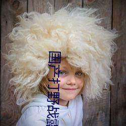 国产打野战高清视频在线,激情四溢的视觉冲击