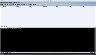 国产t s 视频,探索科技与艺术的完美融合
