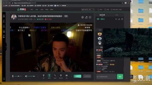 视频一去国产,从视频一去国生到文化交融的探索之旅