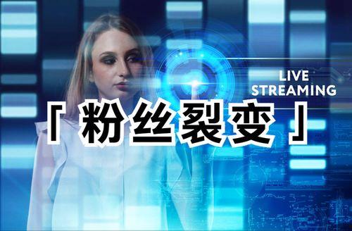 怎么做国产的粉丝视频呢  第1张